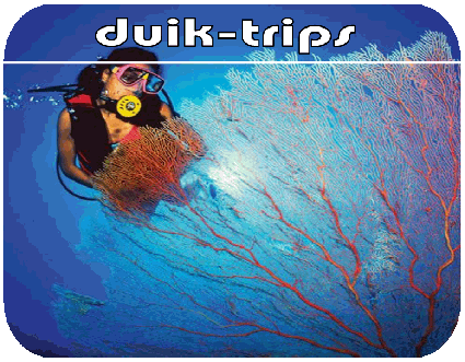 toffe duik-ervaringen delen