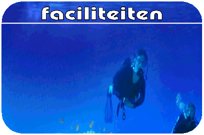 hoe,wat en waar