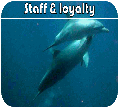 onze gemotiveerde STAFF